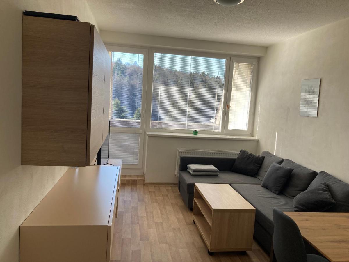 Apartman Vsemina 300 外观 照片